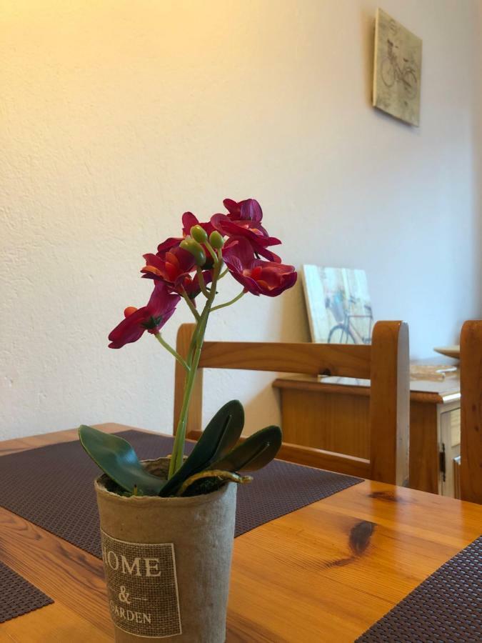 Apartaments S'Arenella Cadaqués Esterno foto